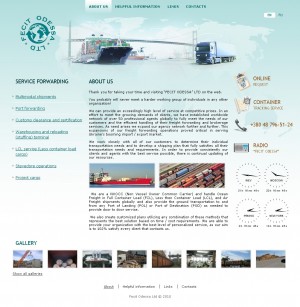 Скриншет сайта 